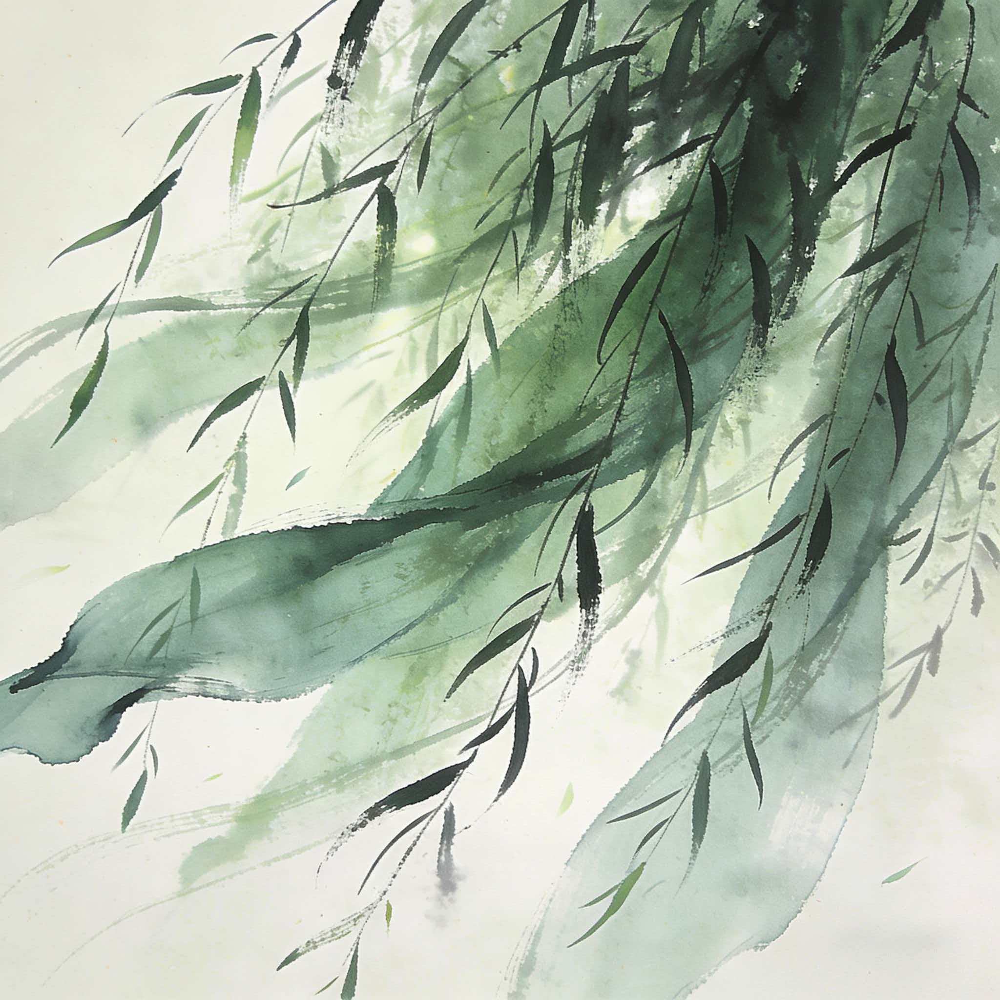 自在如风，细撑烟柳