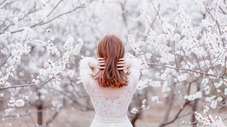 中国古诗词：于字句间藏尽山河心事