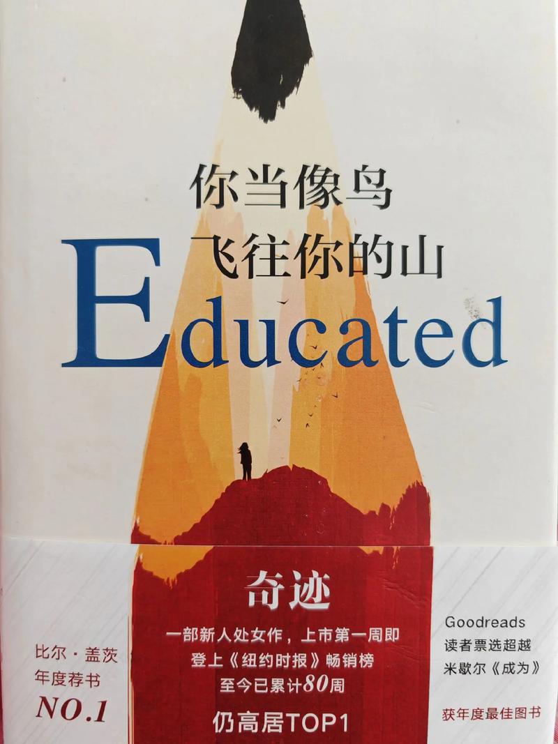 于废墟之上，飞往属于自己的山——评《你当像鸟飞往你的山》